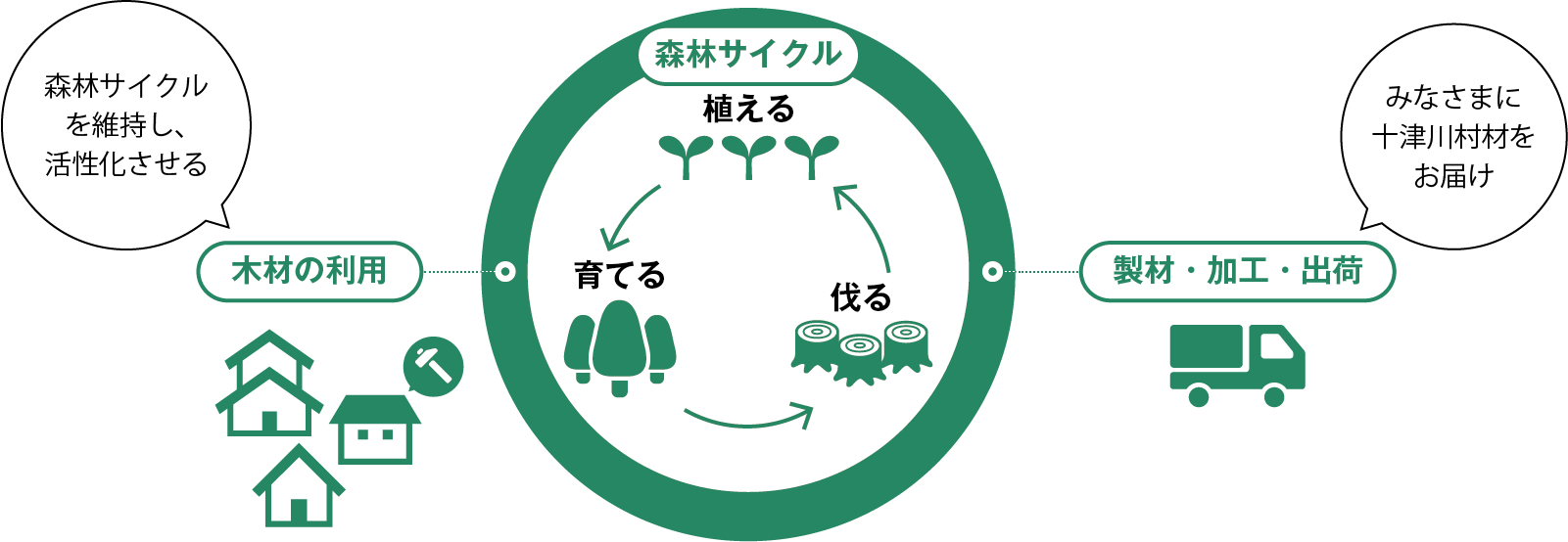持続可能な森林開発サイクル